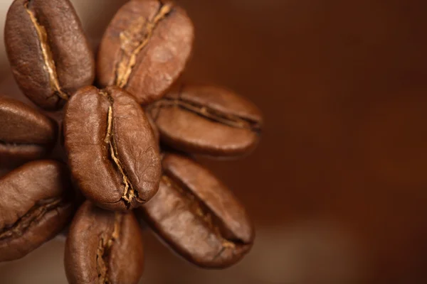 stock image Coffee