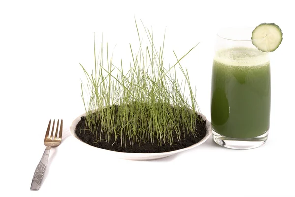 Meal from a chlorophyll. — Stock Photo, Image