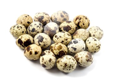 Quail eggs in egg shape clipart