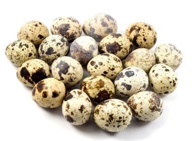 Quail eggs in egg shape clipart