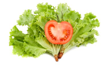 Tomato in leaf salad clipart