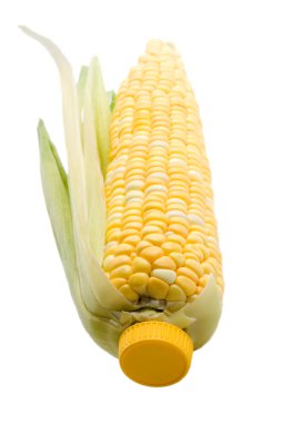 Corn cob clipart