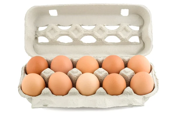 Eieren in beschermende geval voorgrond — Stockfoto