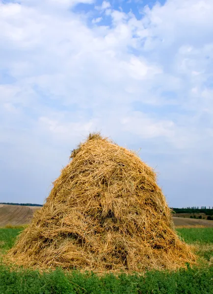 Palha de feno haystack — Fotografia de Stock