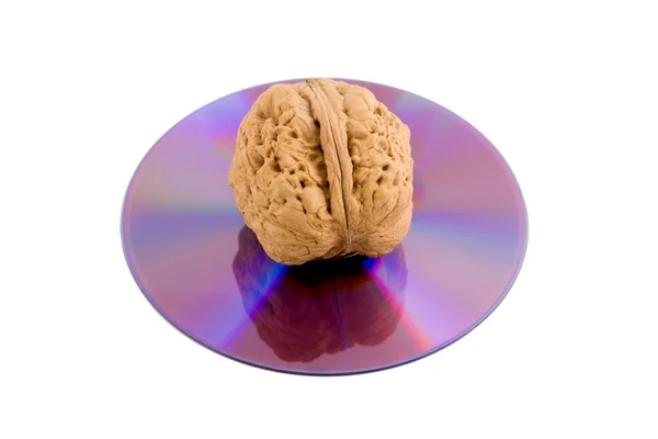 Walnut in disk cd — Stock Photo, Image