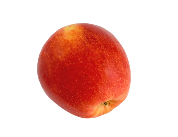 Apelsinisolerad — Stockfoto