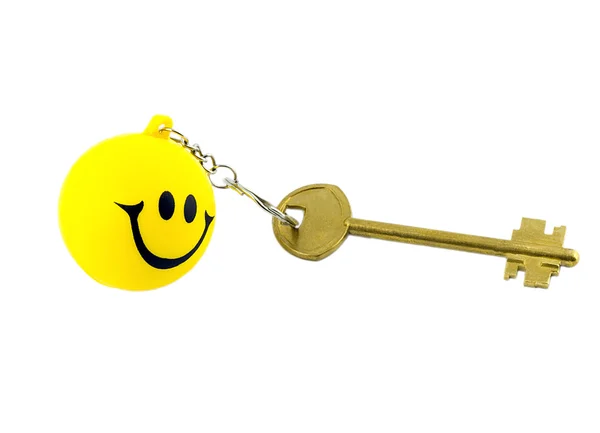 Key on key ring — Stock Photo, Image
