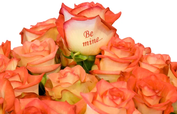 Ramo de rosas "Sé mío ..." — Foto de Stock