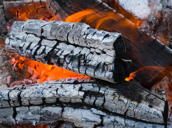 Brûlage du bois de chauffage — Photo
