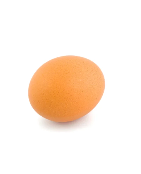 Galinha de ovo — Fotografia de Stock