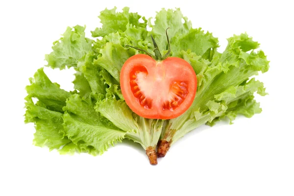 Tomate em salada de folha — Fotografia de Stock