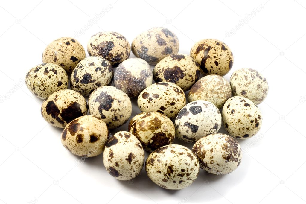 Quail eggs in egg shape
