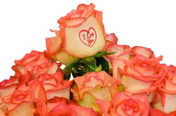 Rosor "Jag älskar dig" — Stockfoto