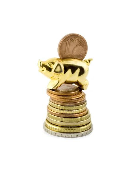 Pig on stack coin — Stock Fotó