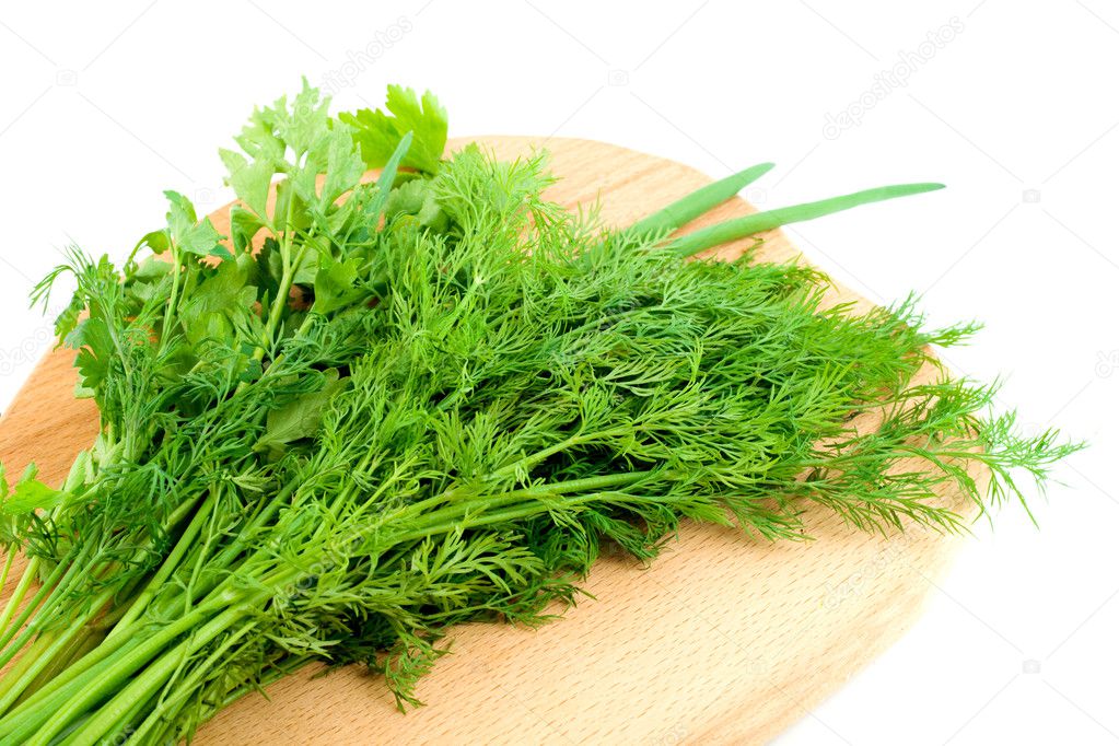 Dill parsley