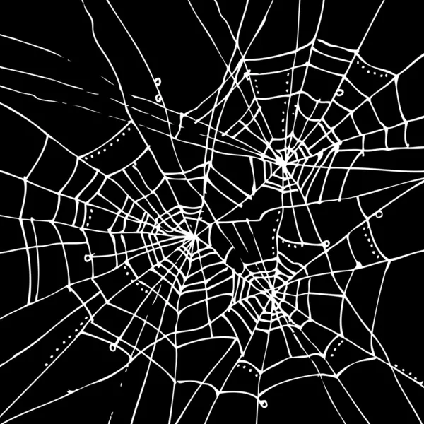 Web background — Stock Illustration Web background Vector Graphics