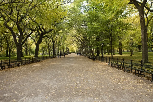 中央公園のニューヨーク。洒落男の美しい公園 — ストック写真