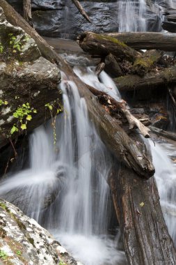 Forest waterfall in Helen Georgia. clipart