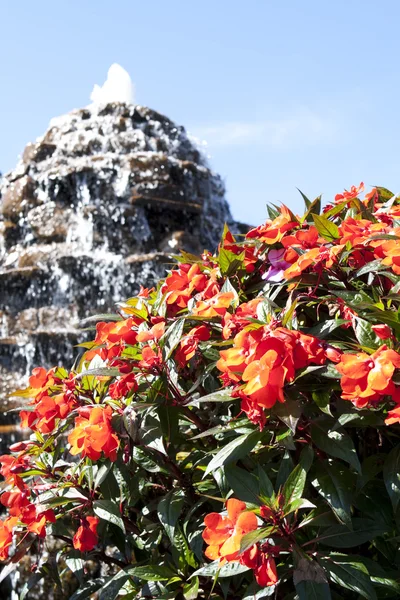 Fountain with beautiful flowers — Stock Photo, Image
