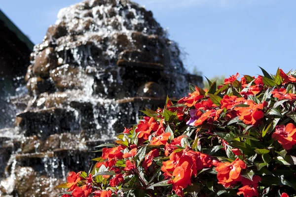 美丽的鲜花和喷泉 — 图库照片