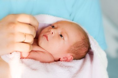 Newborn baby in the hands clipart
