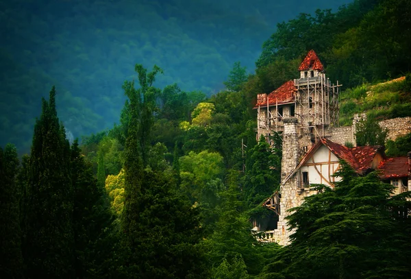 stock image Old castle