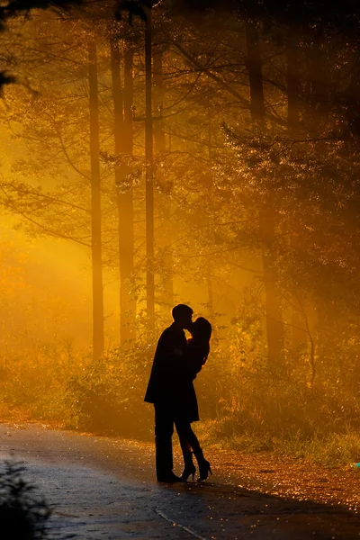 Beijando casal — Fotografia de Stock