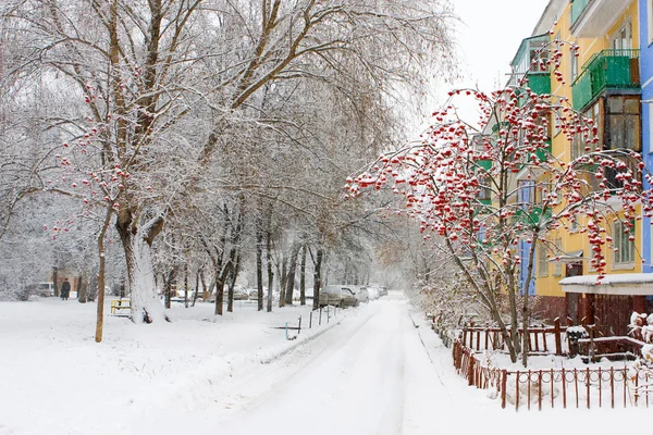 Novosibirsk. Academgorodok.