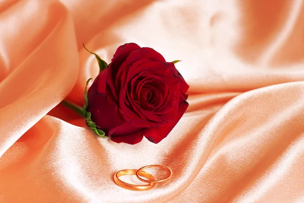 婚礼玫瑰 — 图库照片