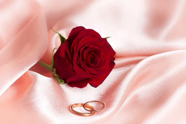 婚礼玫瑰 — 图库照片