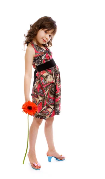 Little girl with flower in hand — Stock Photo, Image
