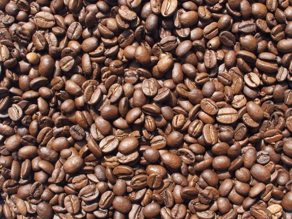 Coffee-beans background — Stock Photo, Image