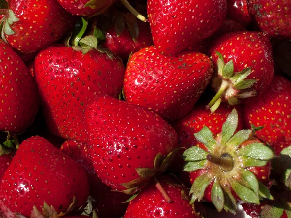 stock image Fresh strawberry from bed