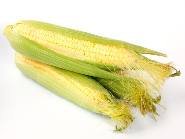 Corn on the cob. clipart