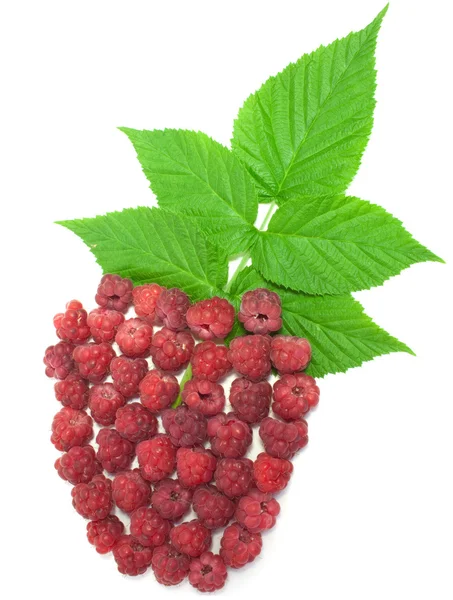 Conceptual raspberry on white background — Stock Photo, Image