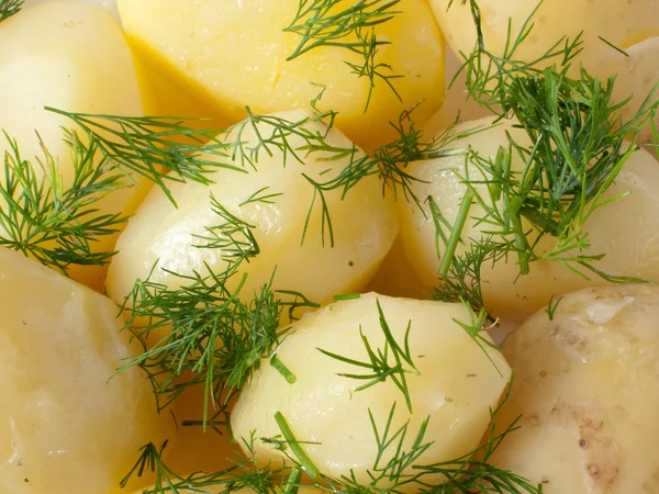 Картошка с укропом — стоковое фото