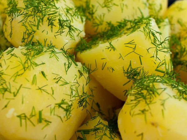 Patatas hervidas con eneldo — Foto de Stock