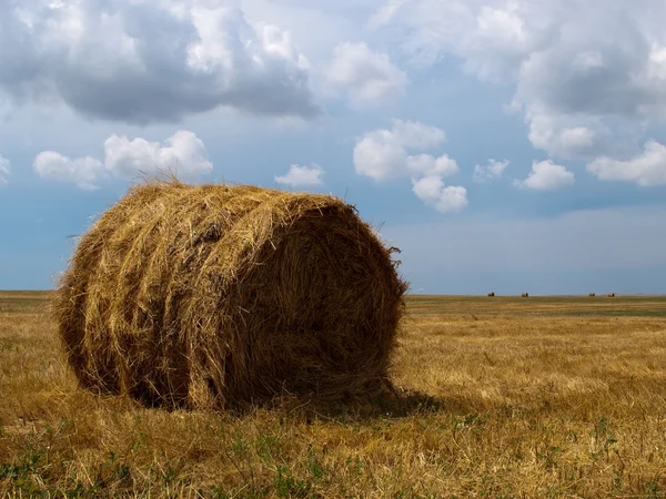 Enda haycock på ett fält i molnigt weat — Stockfoto