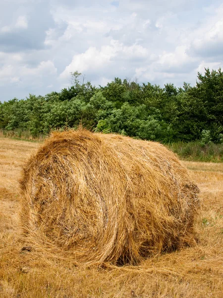 Single haycock on the field in cloudy we — Stock Photo, Image