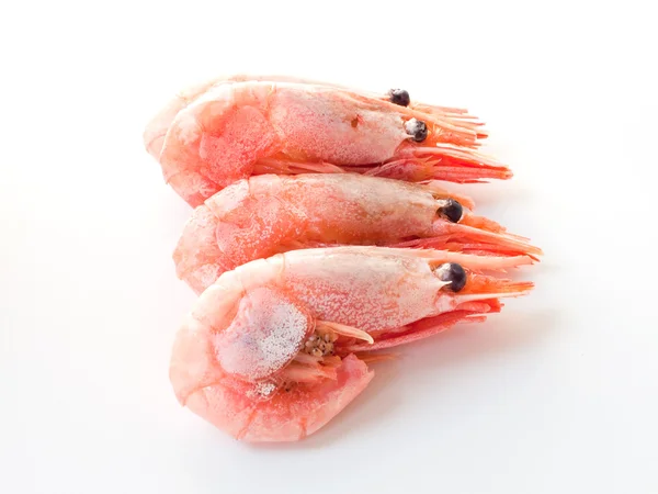 Vařené krevety. — Stock fotografie