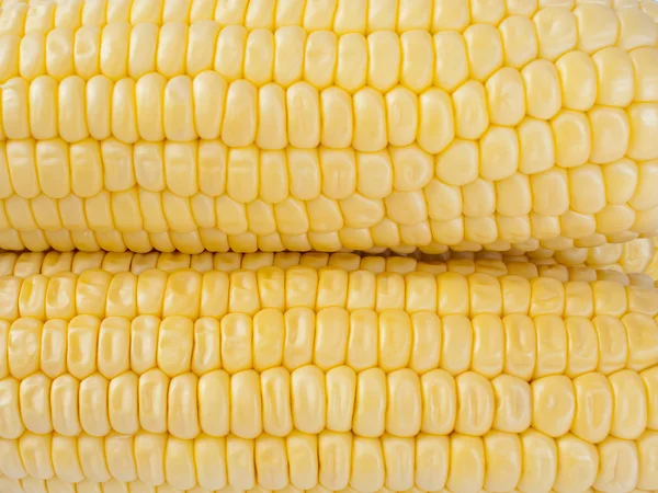 Corn on the cobs. — Stock Photo, Image