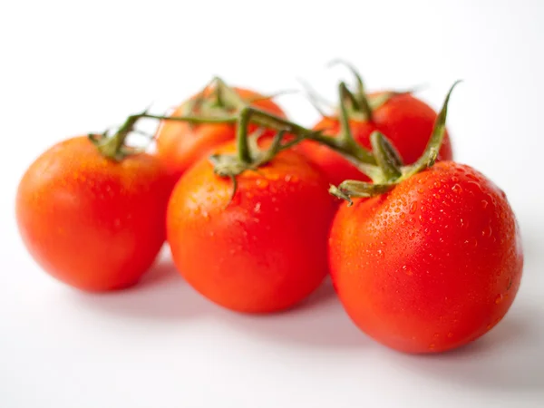 Kiraz domates ile su damlaları. — Stok fotoğraf