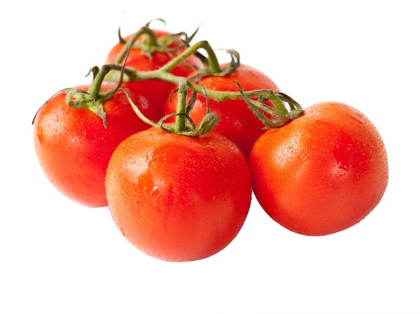 Черри помидоры с капельками воды . — стоковое фото