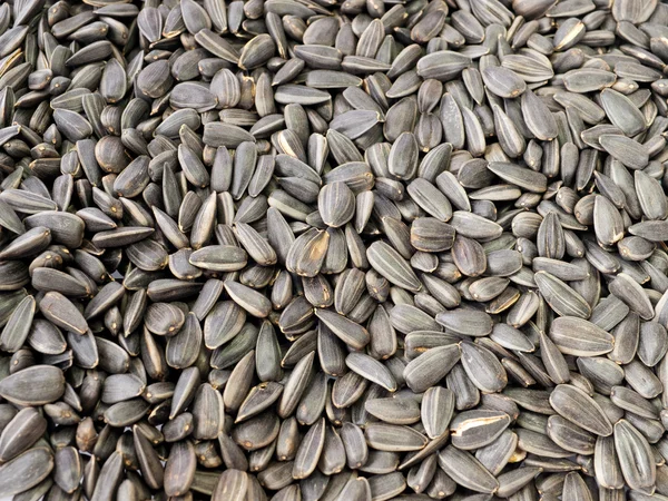 stock image Sunflower seeds.