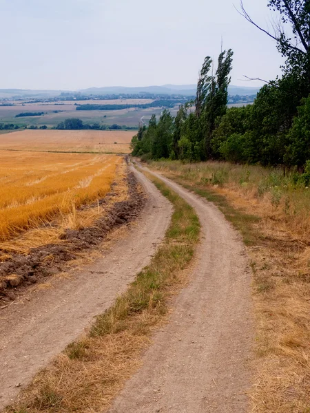 stock image Dirt road.