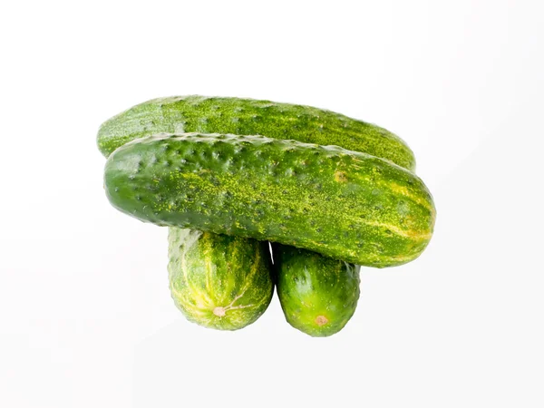 Groene komkommers. — Stockfoto