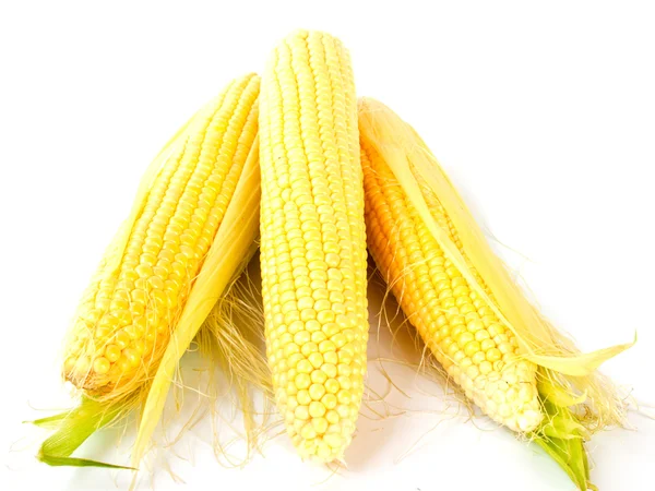 Corn on the cob. — Stock Photo, Image