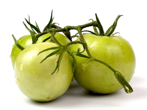 Зеленые помидоры — стоковое фото
