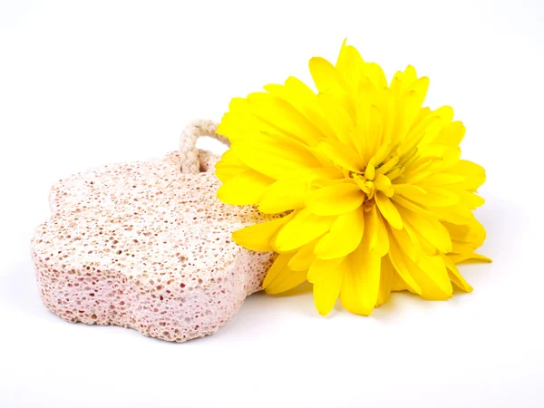 Gele bloem en puimsteen — Stockfoto