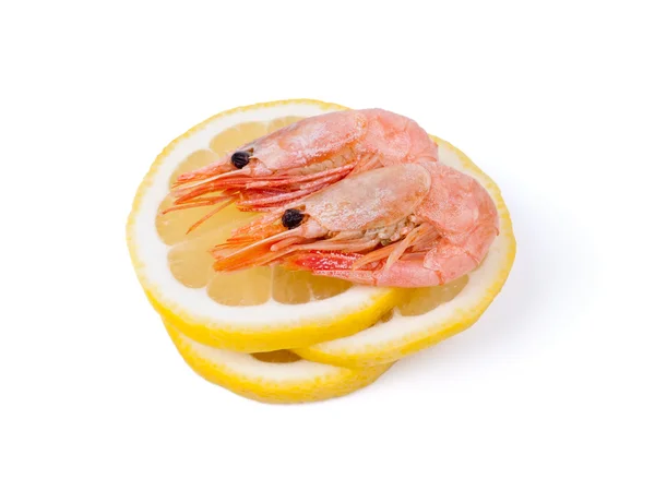 Camarões em limão fatiado — Fotografia de Stock
